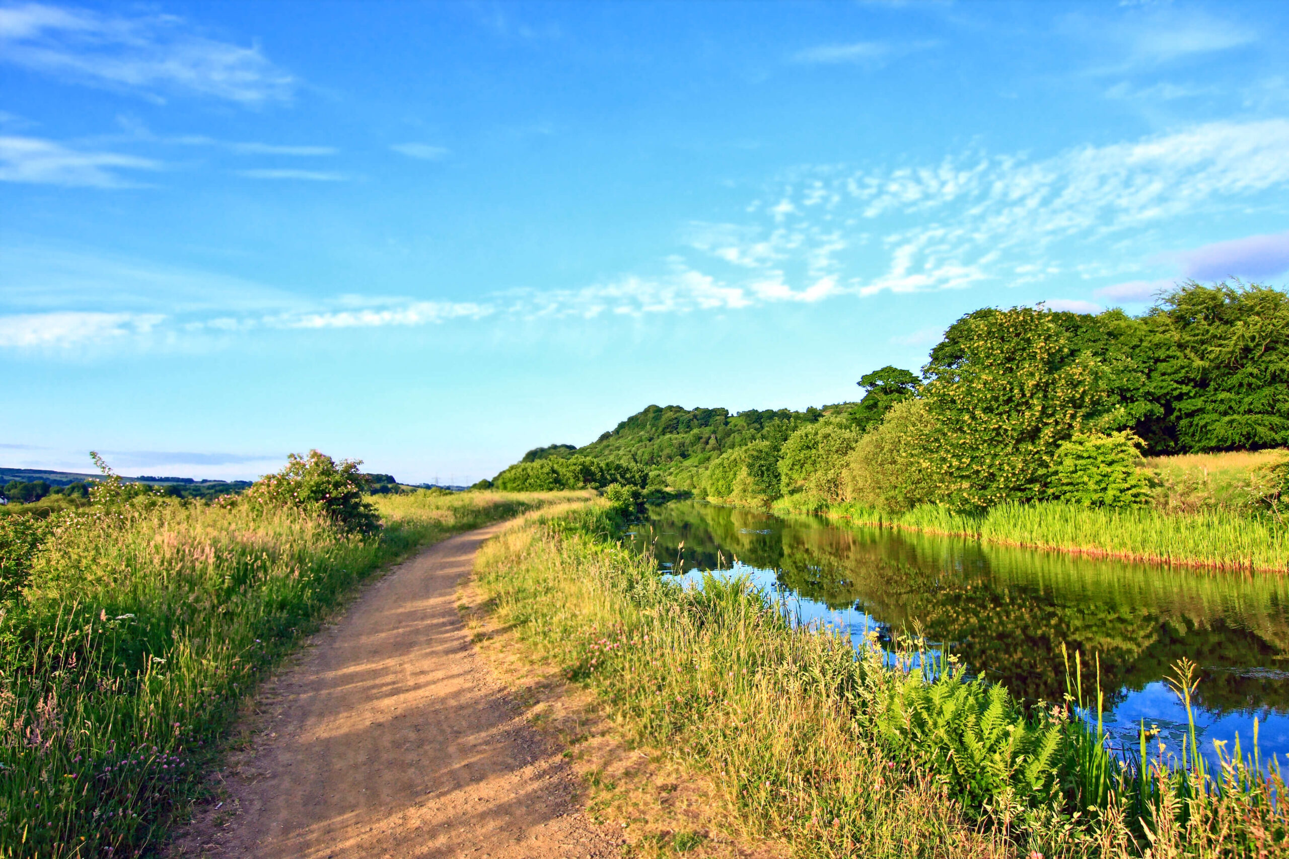 nice walks