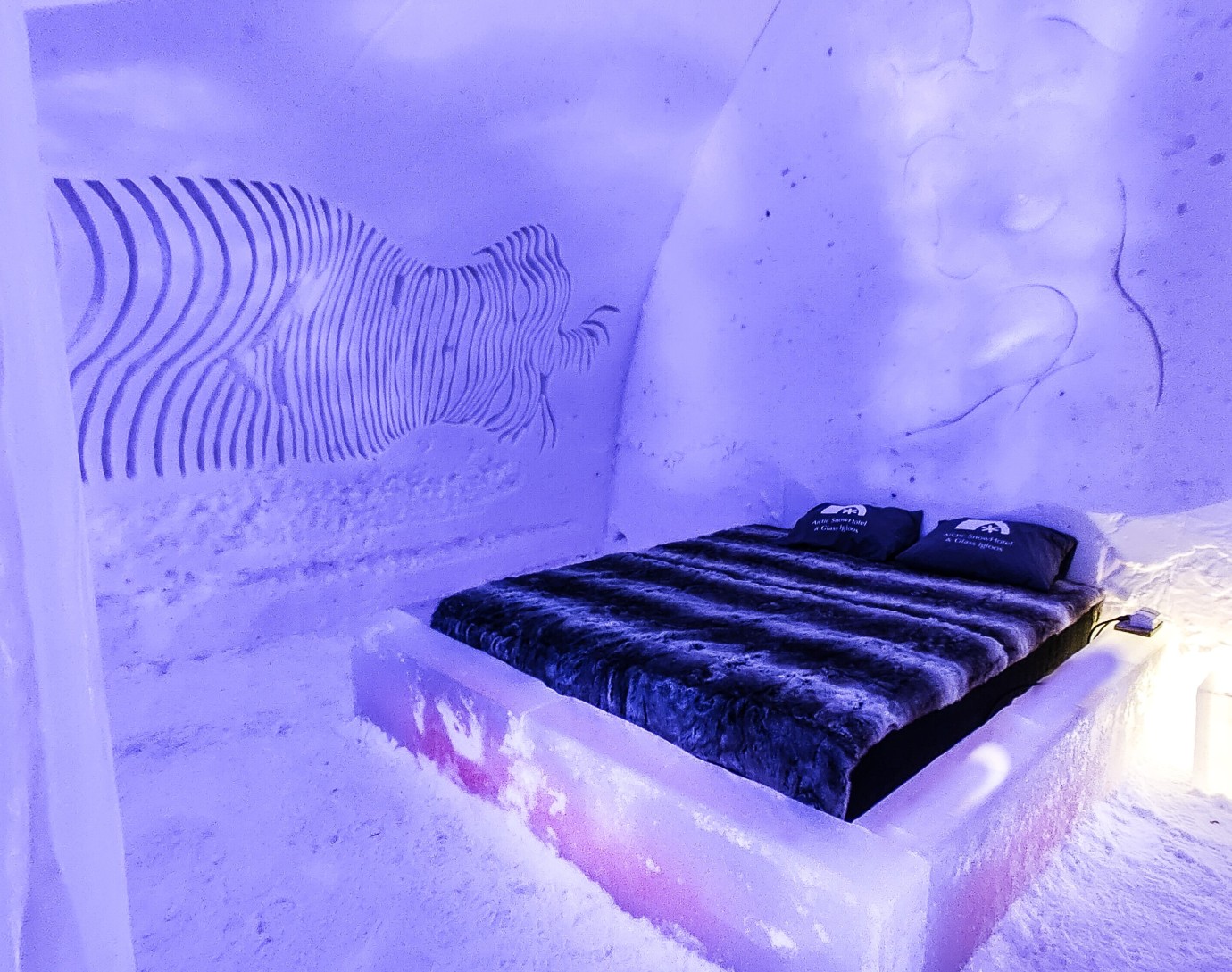 igloo hotel